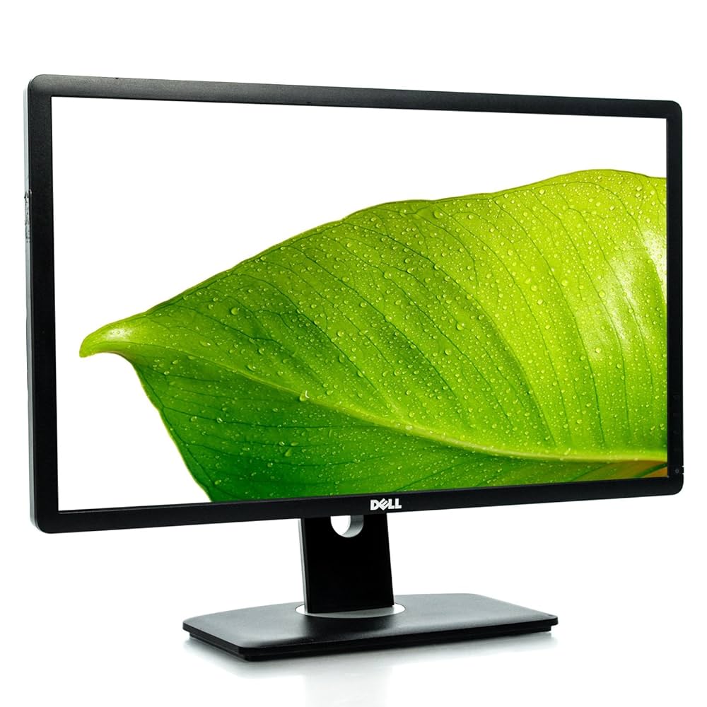 Amazon.co.jp: Dell LED 点灯画面でプロ P2412H 24 インチ